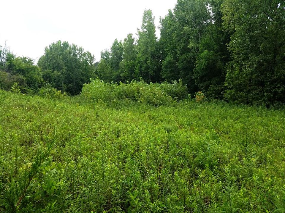 2nd image of Wilson Creek Rd
