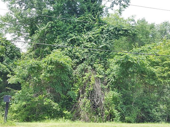 4th image of 510 Eastwood Rd