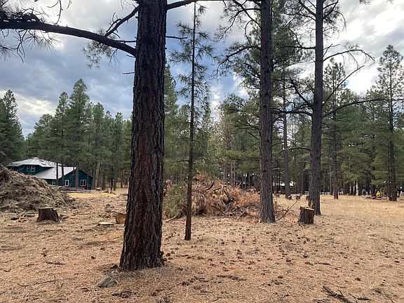 4th image of 198 Sandige Ln Lot 6