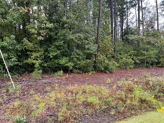 5th image of 1127 Echo Drive NE
