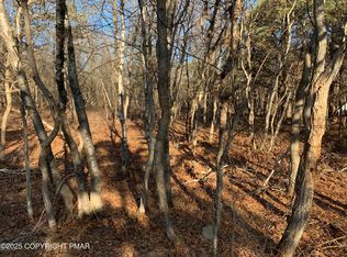 1491 Chippewa Trl, Albrightsville, PA 18210