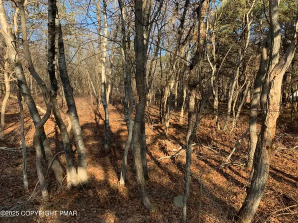 1491 Chippewa Trl, Albrightsville, PA 18210