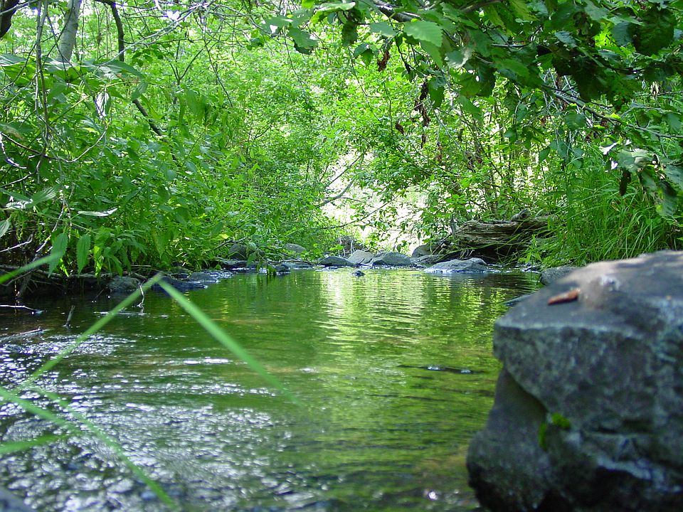Sawmill Creek on property