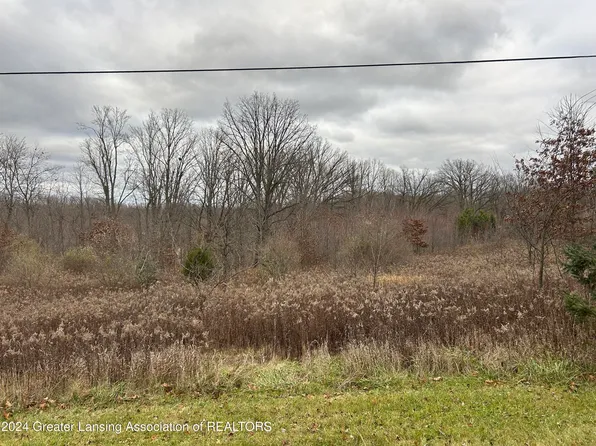 Vl S Ainger Rd, Olivet, MI 49076