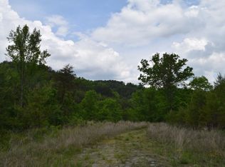 40AC Yellow Branch Rd, Sneedville, TN 37869