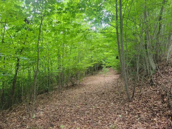 25 E Double Knob Dr, Hayesville, NC 28904