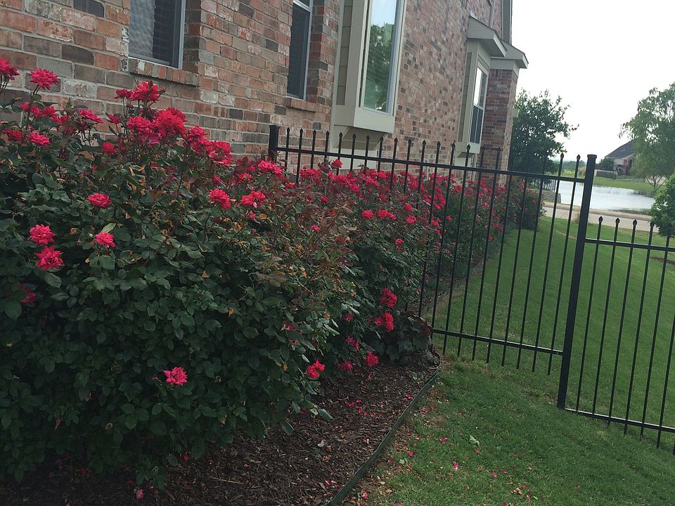 1st image of 2718 Fountainview Blvd