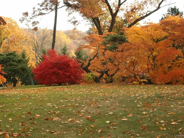 22 Castle Walk, Scarsdale, NY 10583