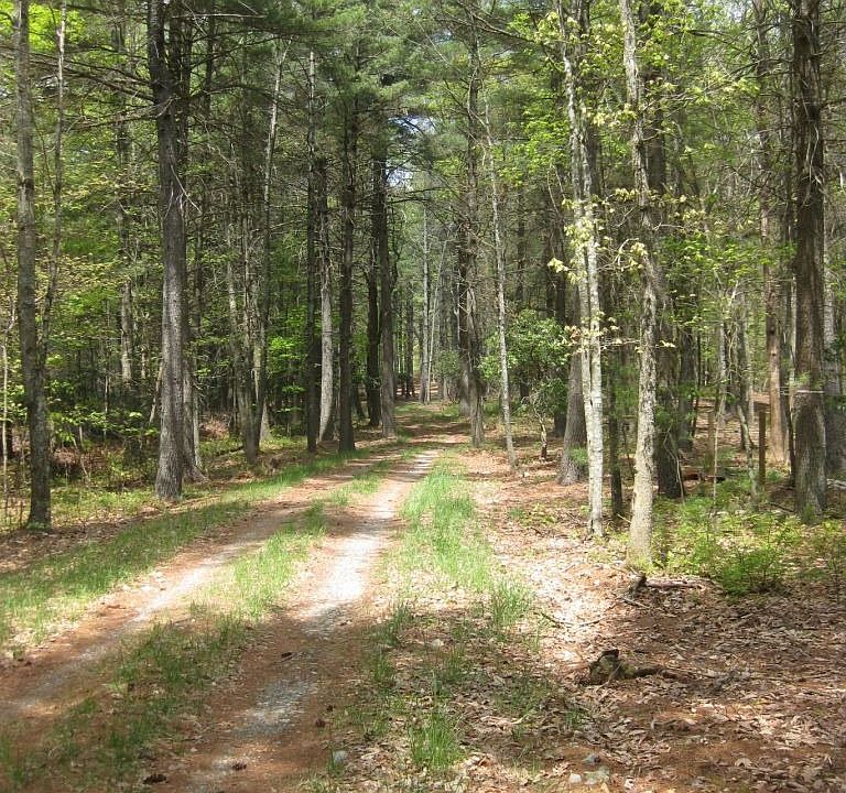 2nd image of Route 8