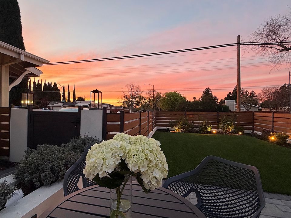 Beautiful shared garden