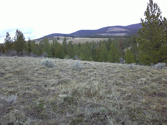 4th image of Nhn Browns Meadow Rd