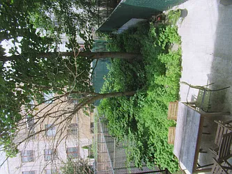 Rented by Home Solutions Real Estate Group