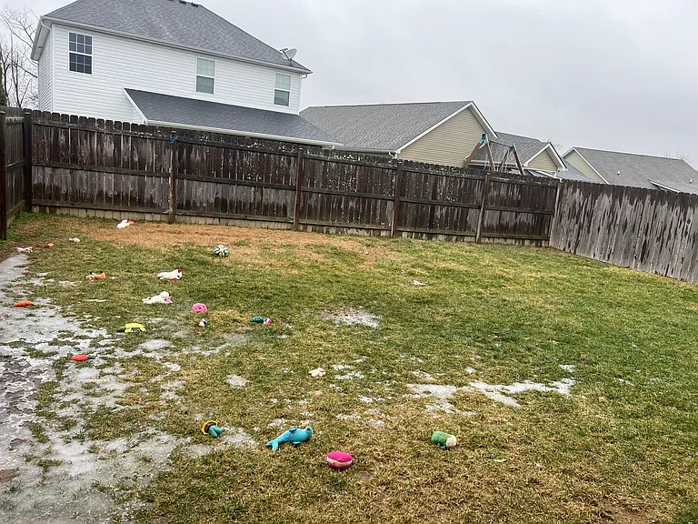 2080 Falling Leaves Ln — Photo 12