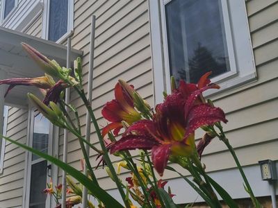 506 W Iowa St, Monona, IA, 52159