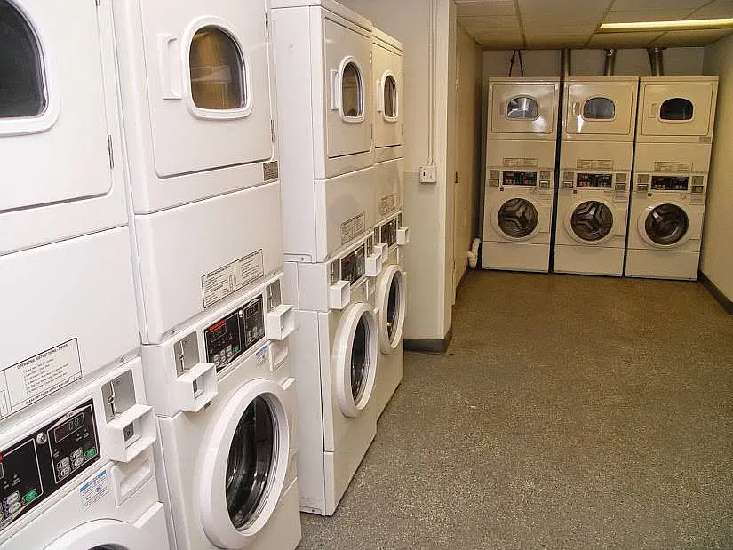 1 bed, 800 sqft, $1,250 — Photo 4