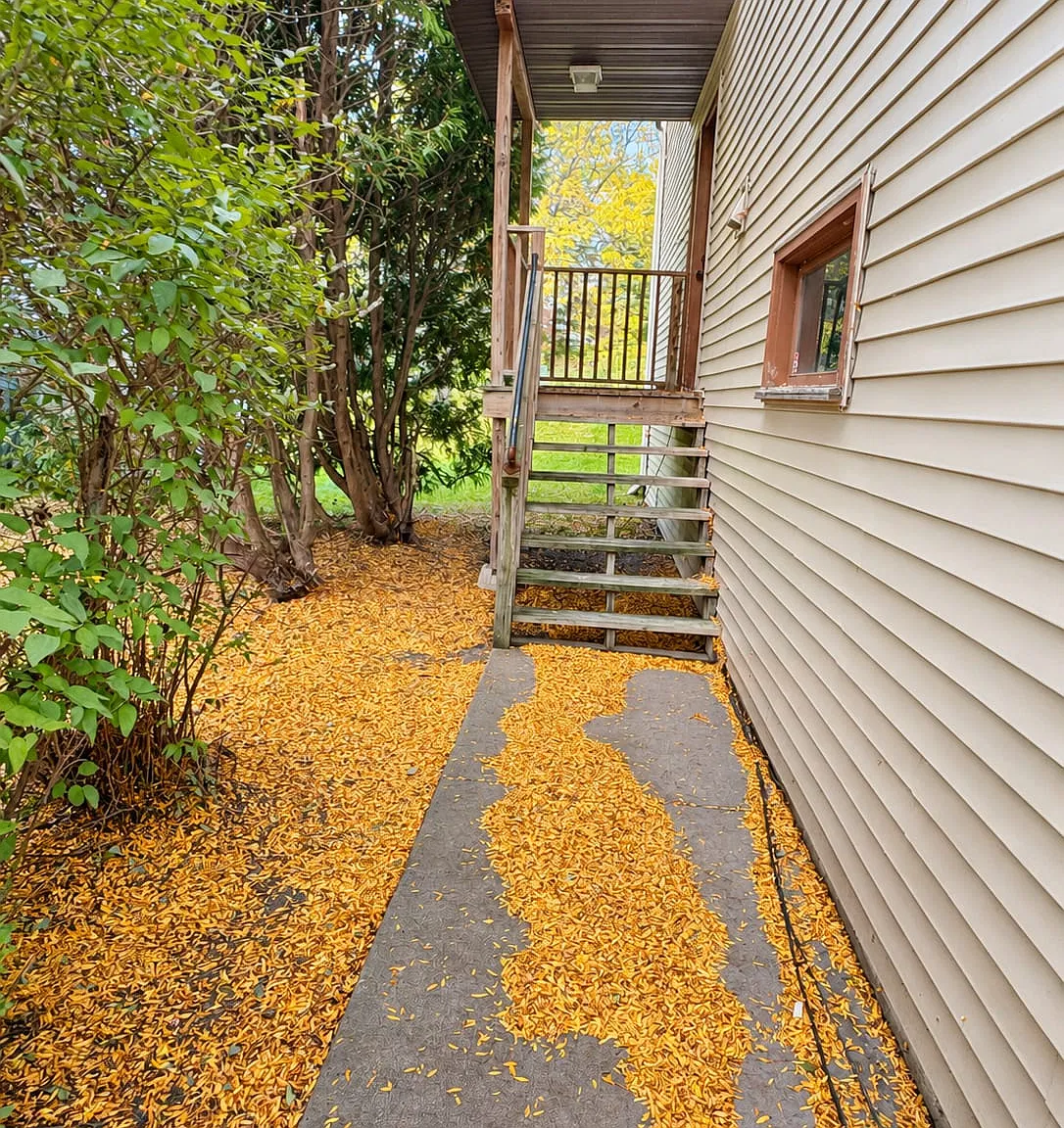 3 bed, 1.5 bath, 1500 sqft, $2,100 — Photo 2