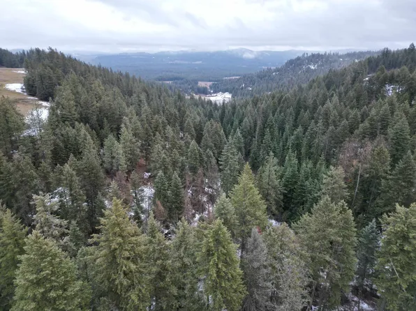 4419 Estebrook Rd, Springdale, WA 99173