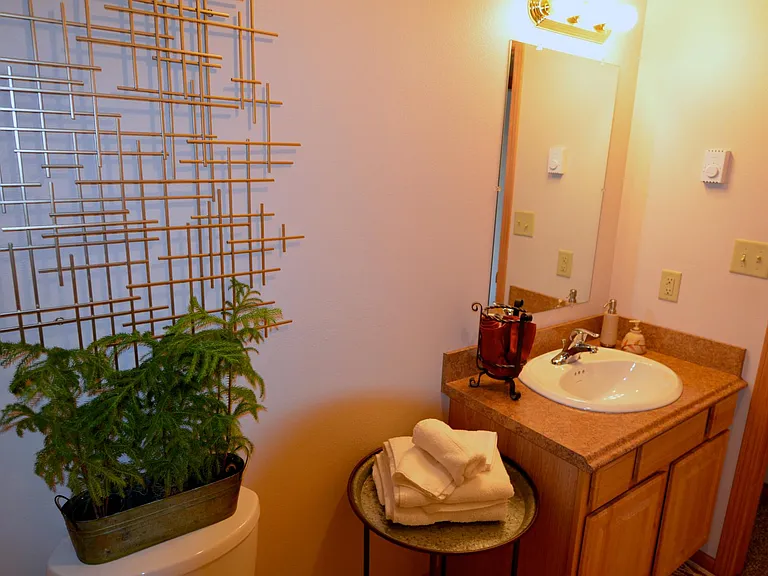 610 Lake Elmo Dr — Photo 11