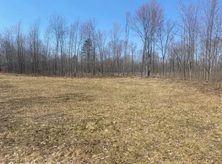 7000 N Stone Rd, Hesperia, MI 49421