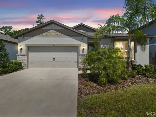 741 Parsons Mooring Ct, Seffner, FL 33584