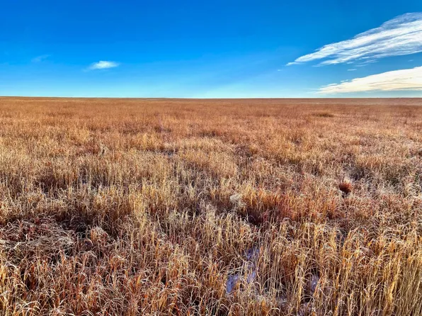 County Road 8, Coolidge, KS 67836