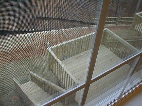 Backyard looking from master bedroom on 3rd Floor