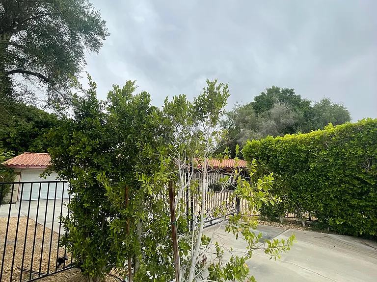 36691 Donna Cir — Photo 4