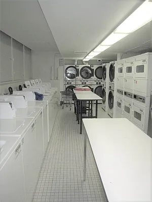 Rented by Douglas Elliman | media 50