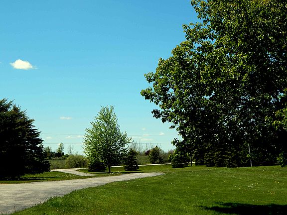 Black Top Driveway