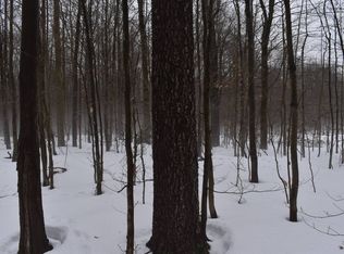 0 Harris Hill Rd LOT 1, Gerry, NY 14740