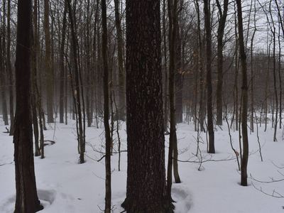 0 Harris Hill Rd LOT 1, Gerry, NY, 14740