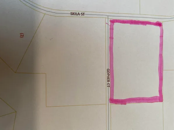 5366 Gopher Ct, Salcha, AK 99714