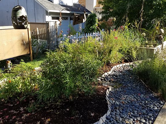 Front yard landscaping