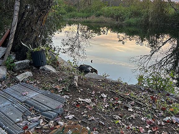 4th image of 5150 Boggy Creek Rd #Q-13