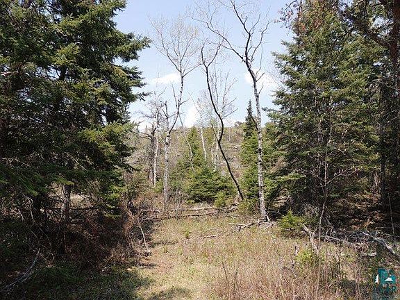 2nd image of 43XX Highway 61 E