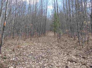 0 Gillow Rd, Merritt, MI 49667