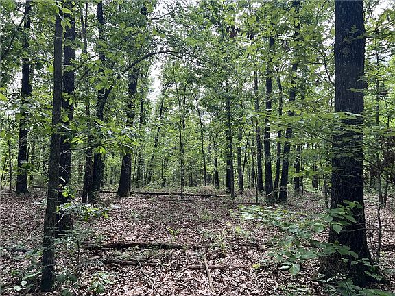 3rd image of Meadow Creek Dr