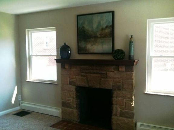 Woodburning Fireplace