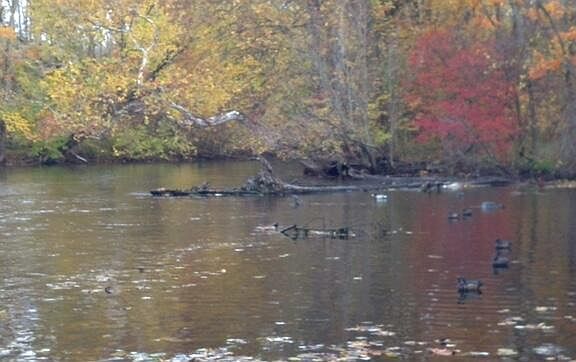 4th image of 2255 River Rd
