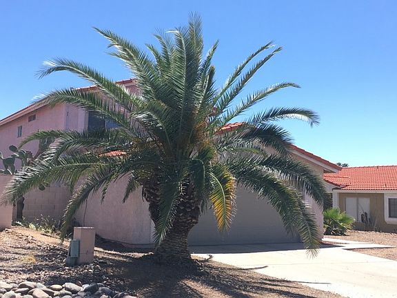 3rd image of 5255 W Wood Owl Dr