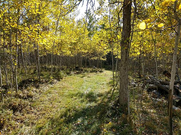 You won't find a more serene rental unit in the northlands!