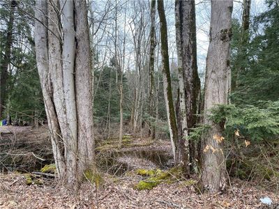 249 21st Ave #1, Blossvale, NY, 13308