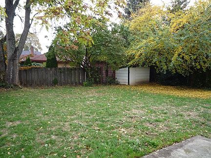 Large yard