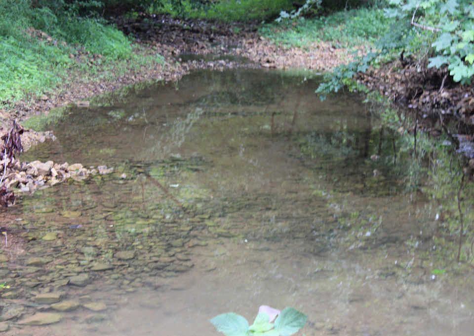 1st image of 1165 Elk Creek Rd