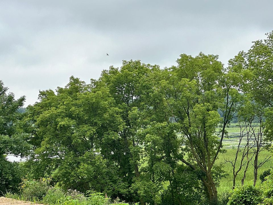 1st image of County Road 43