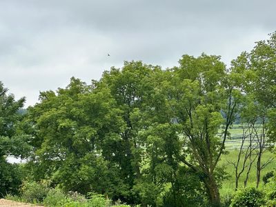County Road 43, Chaska, MN, 55318