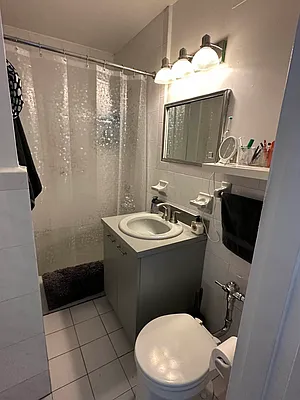 Rented by Eric Goodman Realty Corp | media 10