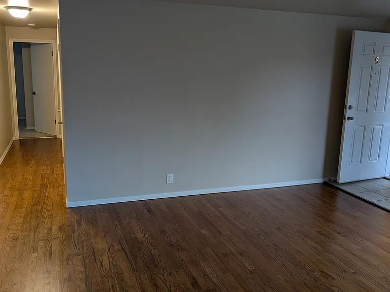 Front door, living room, hallway, hardwood floor