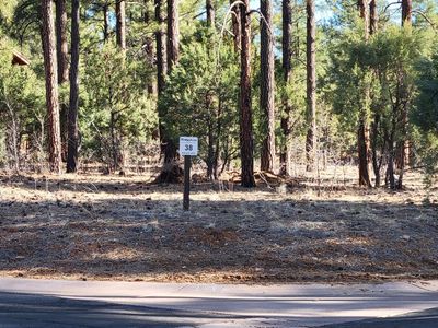 3371 W Tobasa Ln, Show Low, AZ, 85901