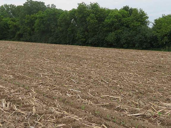 5th image of Marsh Trl